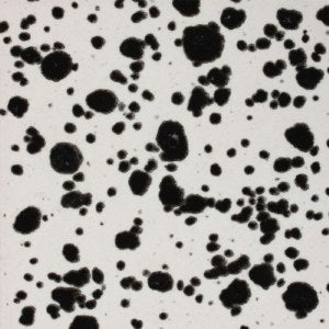 Ink Spots (CG-977)