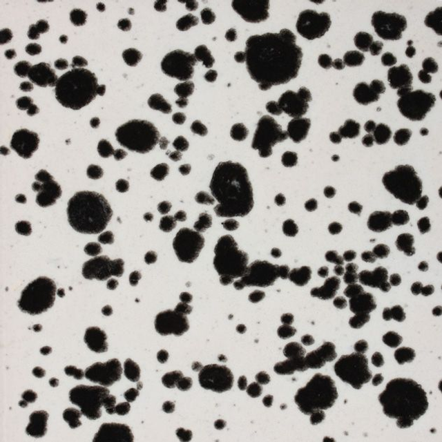 Ink Spots